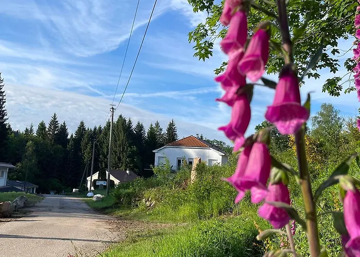 Casa de hóspedes Rockin 70's