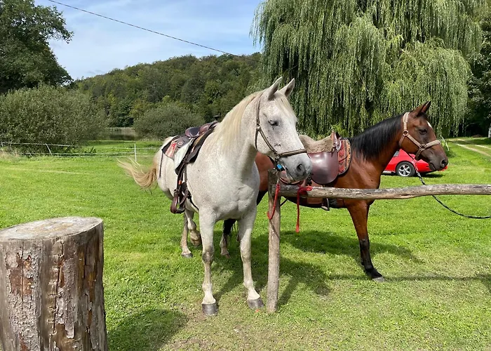 Casa de hóspedes Rockin 70's Barbey-Seroux