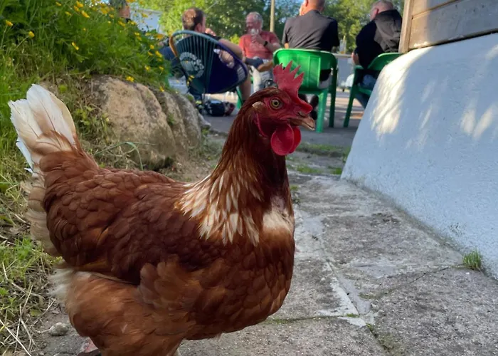 Casa de hóspedes Rockin 70's Barbey-Seroux