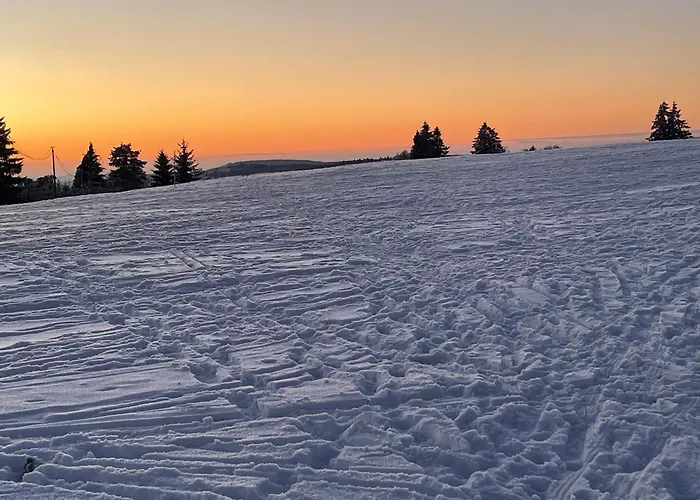 Rockin 70's Casa de hóspedes 3*