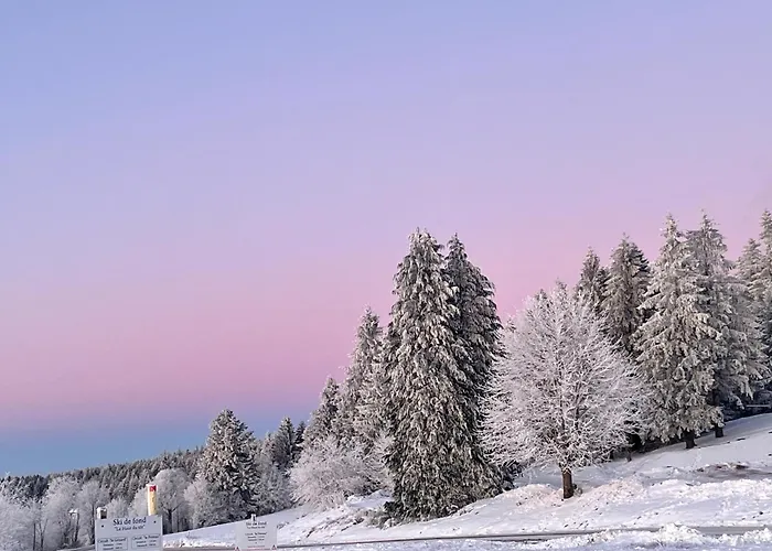 Rockin 70's Casa de hóspedes